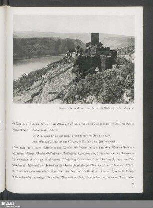 Ruine Sterrenberg, eine der "Feindlichen Brüder-Burgen"