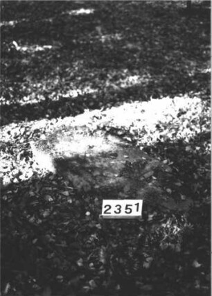 Grabstein 2351