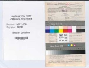 Entnazifizierung Josefine Brauer, geb. 17.05.1904 (Kontoristin)