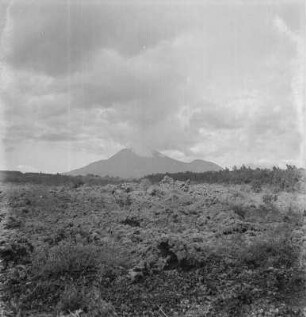 Nyiragongo : Blick über die Steppe nach Nordosten in Richtung des Nyiragongo