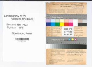Entnazifizierung Peter Sperlbaum , geb. 02.06.1903 (Verw.Angest.)