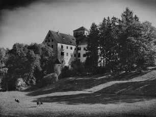 Archivfotografie "deutschland_hegau_langenstein_p481"