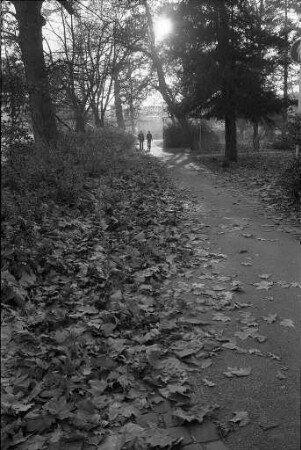 Herbststimmung im Nymphengarten