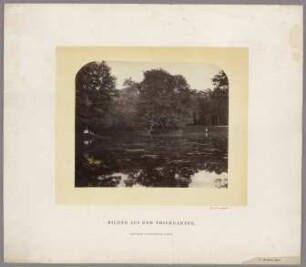 Rousseau-Insel Rousseau-Insel