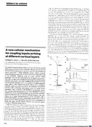 A new cellular mechanism for coupling inputs arriving at different cortical layers
