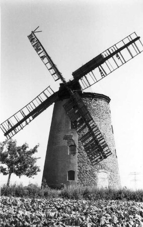 Niederndodeleben-Schnarsleben. Turmholländer, erbaut 1808-1810