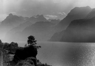 Schweiz. Der Vierwaldstätter See im Morgennebel