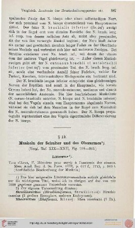 § 19. Muskeln der Schulter und des Oberarms