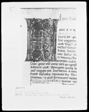 Vetus Testamentum — Initiale H (aec sunt nomina), Folio 24 recto