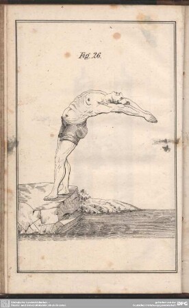 Fig. 26