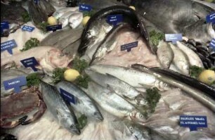 Basel: Fische