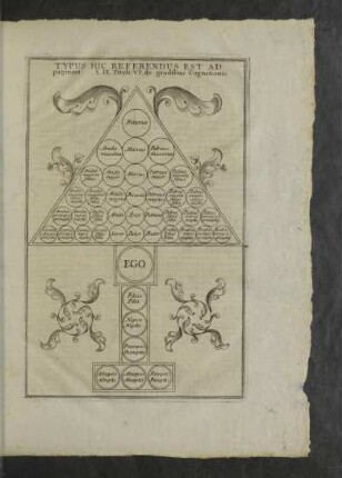 Typus hic referendus est ad paginam. §. IX Tituli VI. de gradibus Cognationis