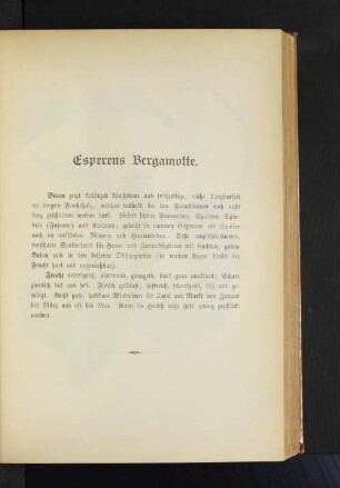 Esperens Bergamotte.