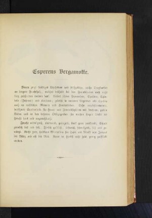 Esperens Bergamotte.