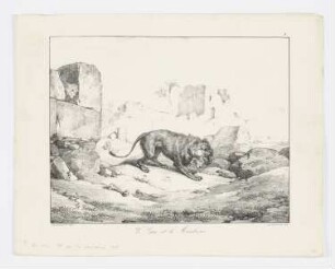 Le Lion et le Moucheron, Blatt 8 der Folge "La Fontaines Fabeln"