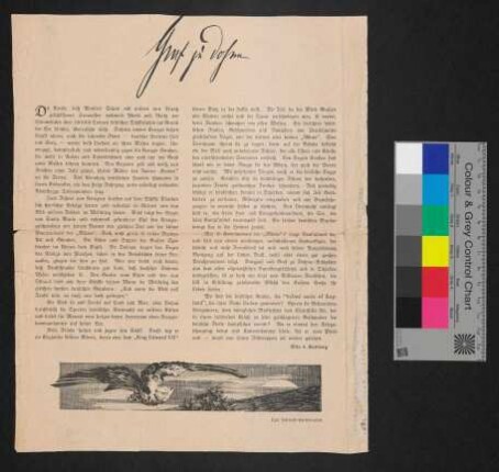 Zeitungsausschnitt zur S.M.H. Möwe