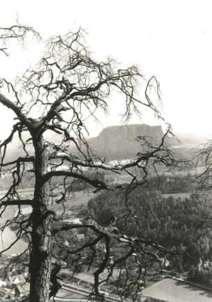Sächsische Schweiz. Blick von der Bastei zum Lilienstein