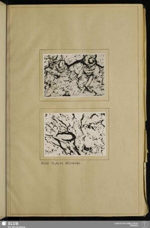 Bild 12 a,b: BHT-Koks