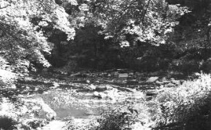 Löbau-Bellwitz. "Gemauerte Mühle" im Skalatal, ehem. Wehr