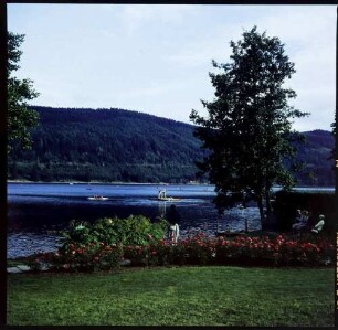 Titisee: Titisee vom Kurpark
