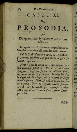 Caput XI. De Prosodia.