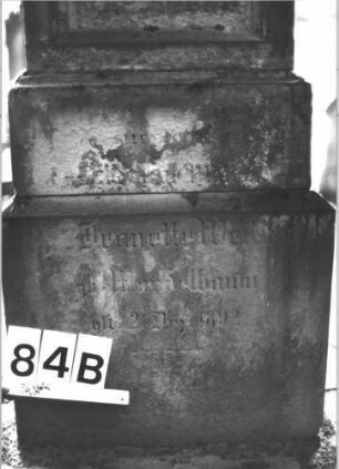 Grabstein 84 (Index: 99898849) Material: Sandstein Zustand: stark verwittert Maße HxBxT: 142x52x24 cm Beschreibung: aufgesockelte Stele, Konvexbogenabschluss mit Voluten und Mittelpalmette Symbolik: Voluten, Palmette: Grabstein 84B