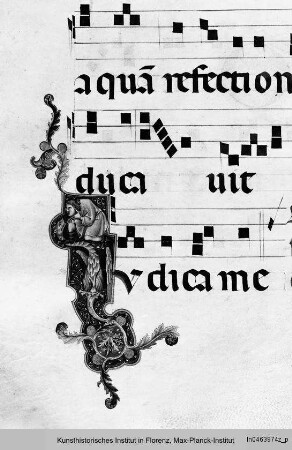 Graduale C aus San Domenico, Perugia : Initale J mit Mann und Drachen