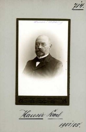Hauser, Karl, Nationalliberale