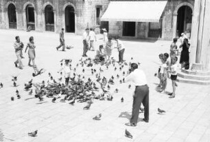 Dubrovnik: Taubenfütterung am Luza Platz