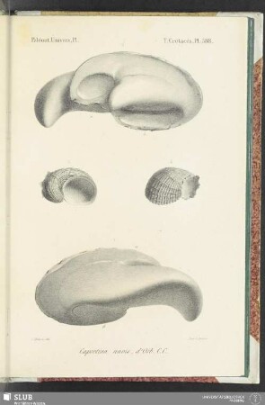 Pl. 588