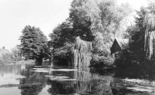 Rietschen-Werda. Teich an der ehem. Mühle