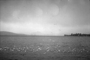Untersee