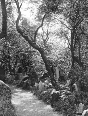 Alter jüdischer Friedhof