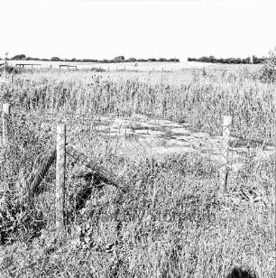Feuerlöschteich mit Schilf und Pflanzenbewuchs: vorn Zaun: hinten Knicklandschaft