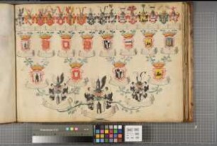 Proband: Wenge, Levin Stephan Wilhelm von; Vater: Wenge, Werner Heinrich von; Mutter: Kanne, Maria Elisabeth von: Paderborn, Domkapitel