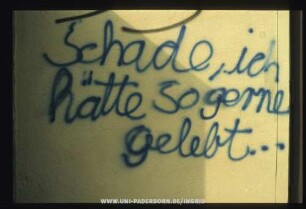 Schade, ich hätte so gerne gelebt...