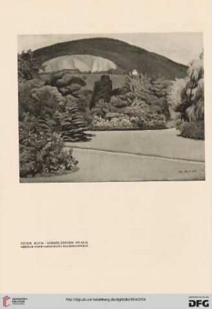 Maler Peter Koch - Gimmeldingen