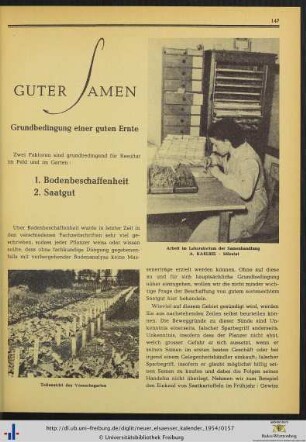 Guter Samen: Grundbedingung einer guten Ernte.