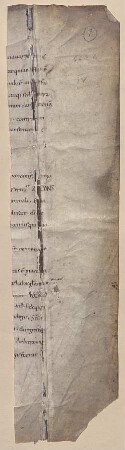 Concordia testimoniorum sacrae scripturae, Cap. II - XII - BSB Clm 29502(1