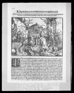 Metamorphoses (Der Goldene Esel) - Roman in elf Büchern — Szene aus dem Märchen Amor und Psyche