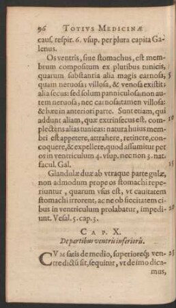 Cap. X. De partibus ventris inferioris.