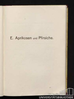 E. Aprikosen und Pfirsiche.