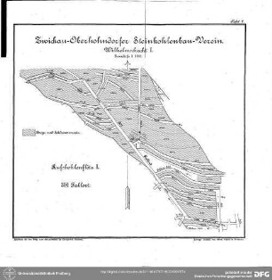 Tafel V - Zwickau-Oberhohndorfer Steinkohlenbau-Verein. Wilhelmschacht I