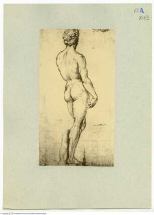 Rückenakt nach Michelangelos David