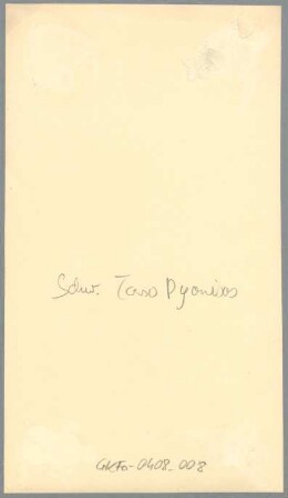 Torso Dionysos, 1931/36, Gips