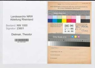 Entnazifizierung Theodor Dietmair, geb. 09.06.1901 (Angest.)