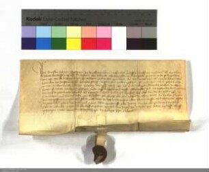Brosske Hobeherr, Burgmann zu Amöneburg bekennt daß der Wechsel, welchen Conrad Swarzenawer u. Peter Gutmann der Kirche zu Selheim u. anderer Lehe...