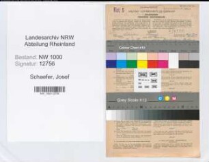 Entnazifizierung Josef Schaefer, geb. 28.02.1888 (Bankangest.)