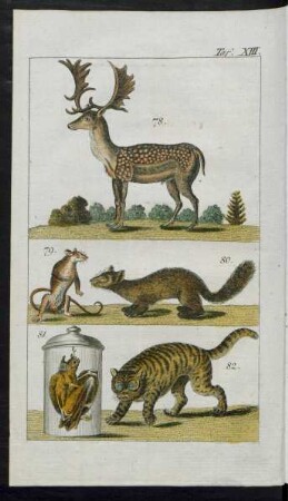 Taf. XIII. [Fig.] 87. - [Fig.] 82.