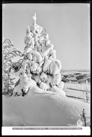 Altenberg im Erzgebirge, Berghof Raupennest mit Schnee